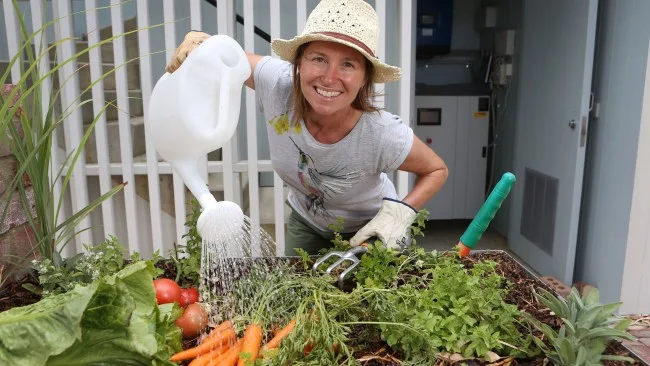 Happy woman waters homegrown vegetables in raised garden bed: carrots, tomatoes, lettuce. Gardening with watering can.